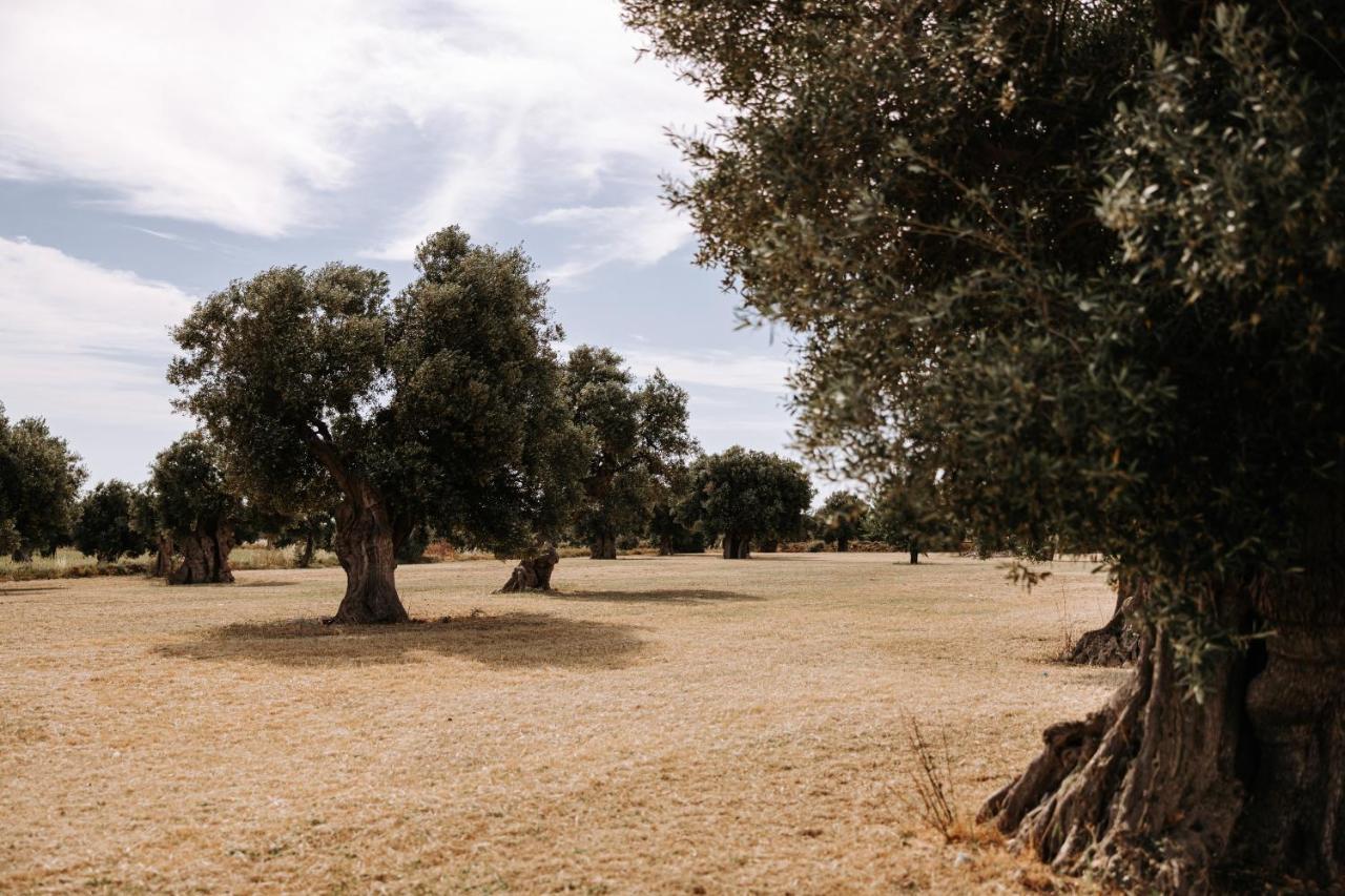 Masseria Garrappa Fasano Kültér fotó