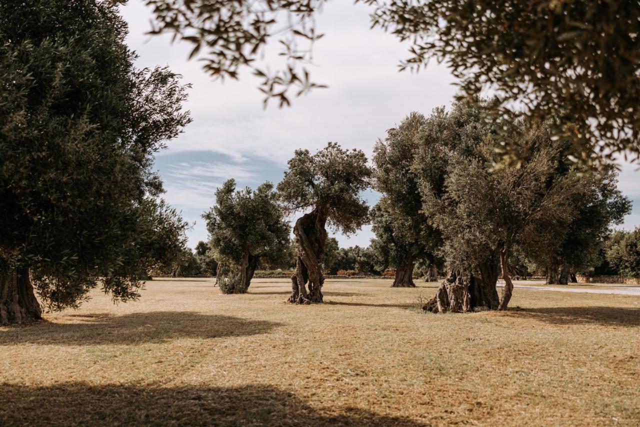 Masseria Garrappa Fasano Kültér fotó