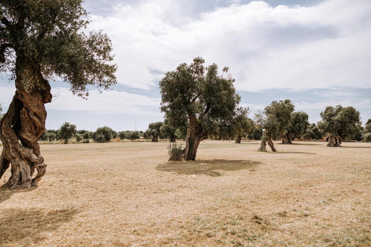 Masseria Garrappa Fasano Kültér fotó