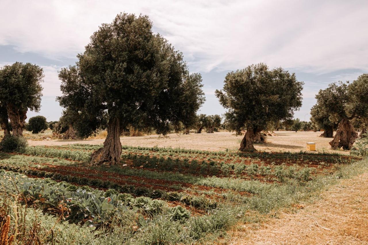 Masseria Garrappa Fasano Kültér fotó